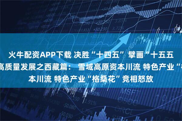 火牛配资APP下载 决胜“十四五” 擘画“十五五”·地方资本市场高质量发展之西藏篇： 雪域高原资本川流 特色产业“格桑花”竞相怒放